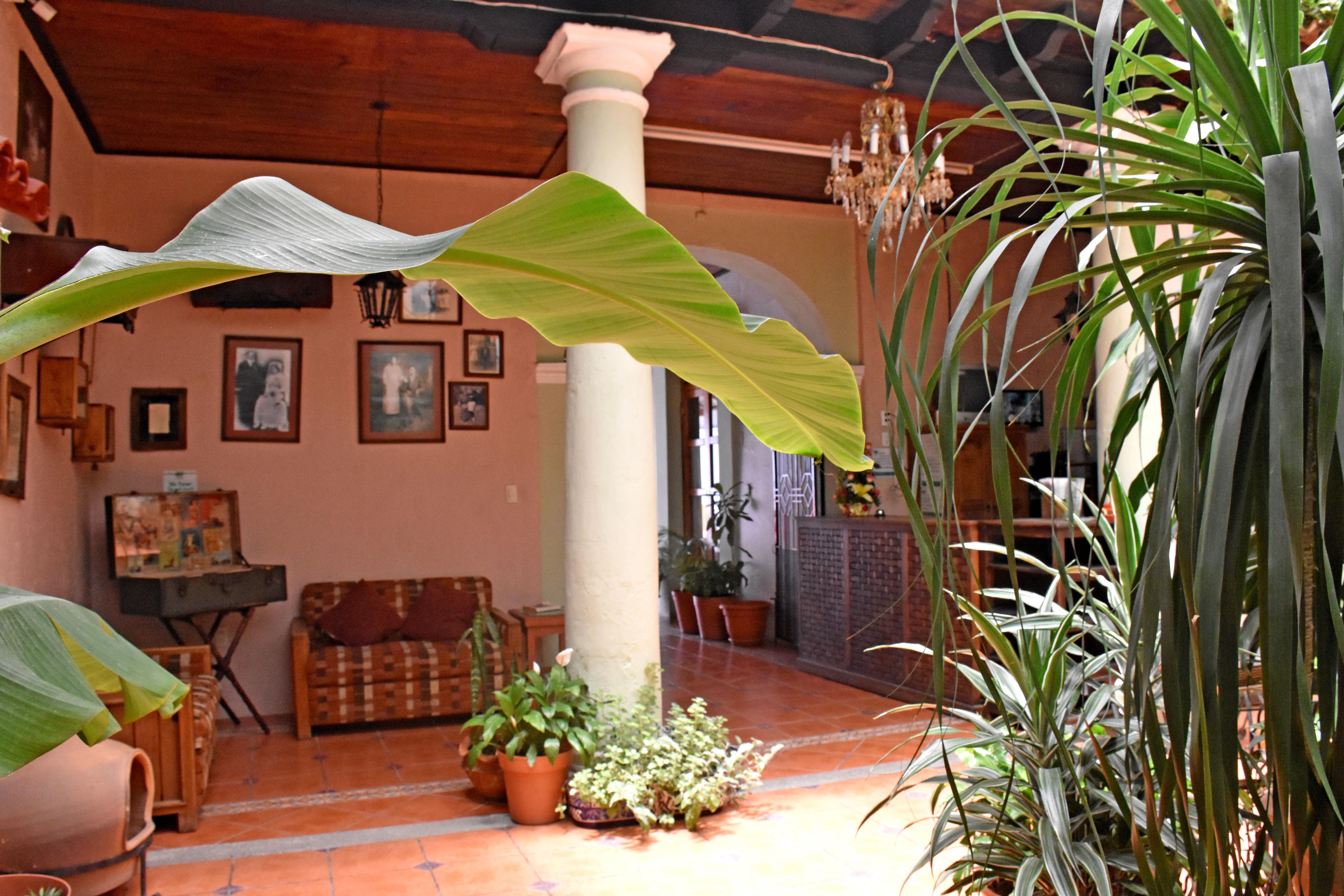 Hotel San Luis San Cristóbal de Las Casas Exteriör bild