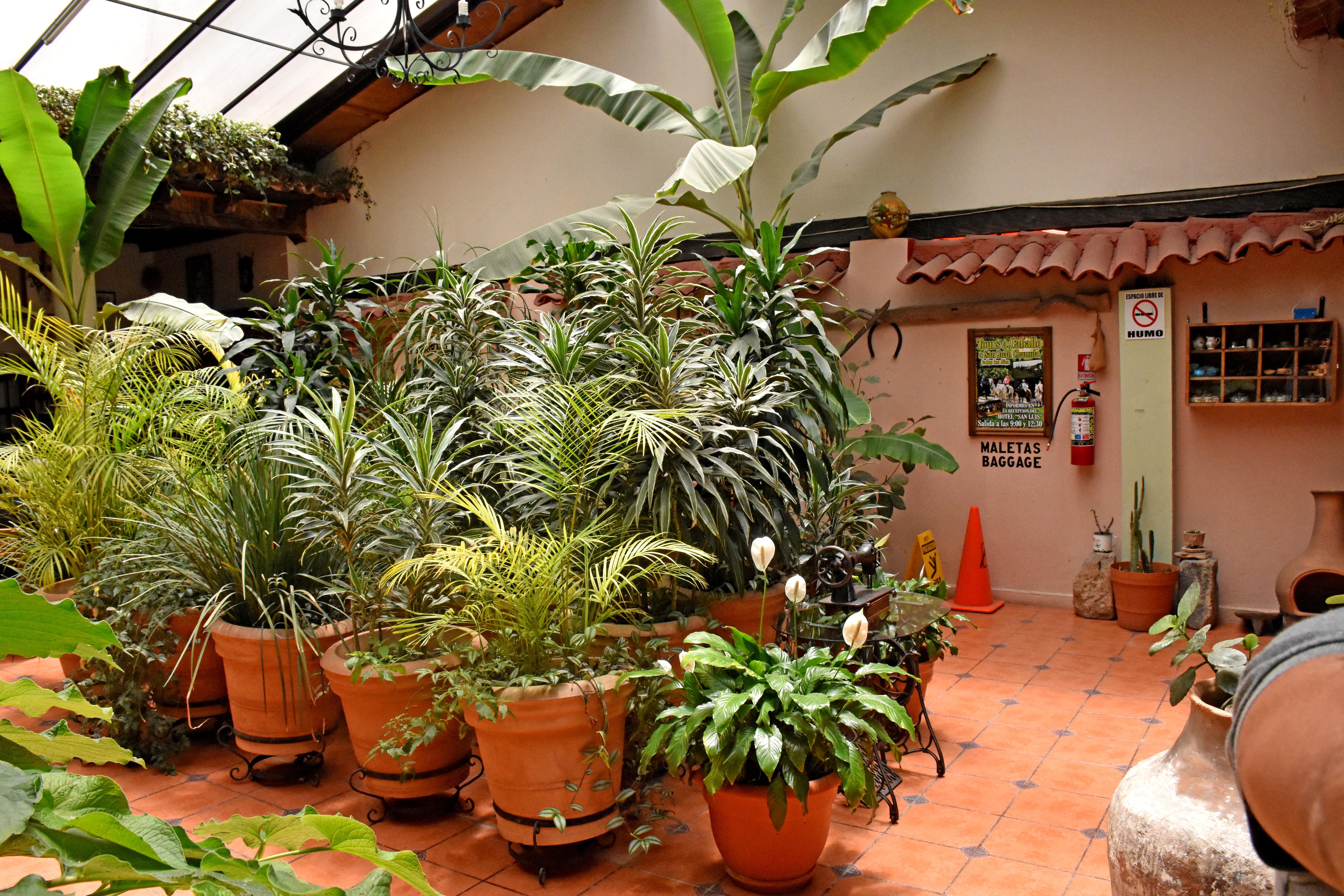 Hotel San Luis San Cristóbal de Las Casas Exteriör bild