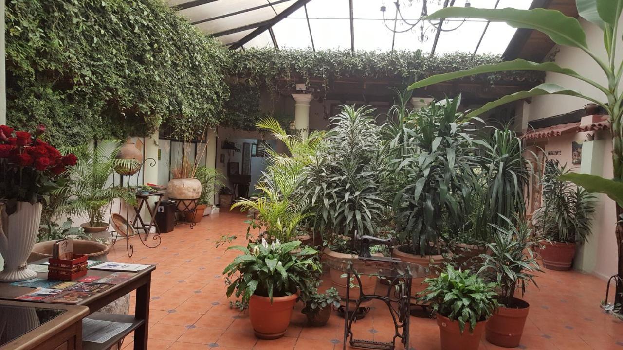 Hotel San Luis San Cristóbal de Las Casas Exteriör bild